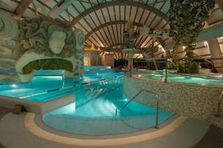 Отель Grand SPA Lietuva Hotel Lietuva Друскининкай Стандартный двухместный номер с 1 кроватью и доступом в спа-центр-3